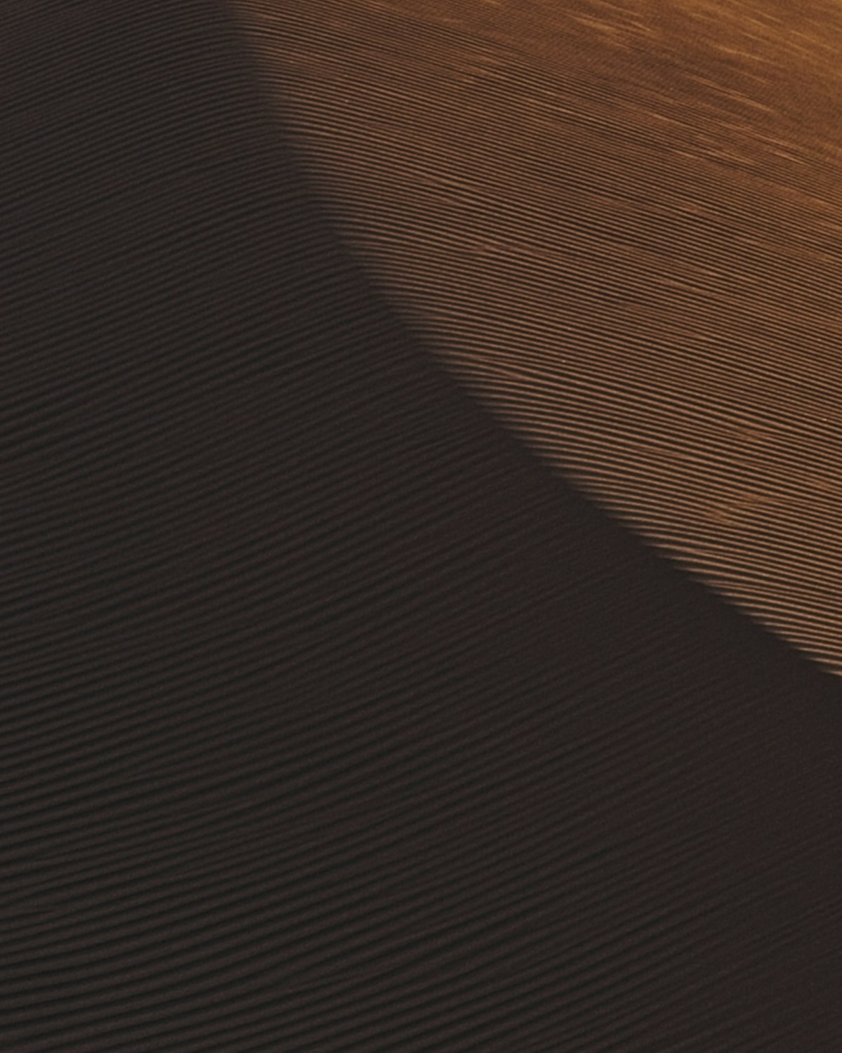 White chalk rock formations in Egypt's White Desert at sunset with a clear sky