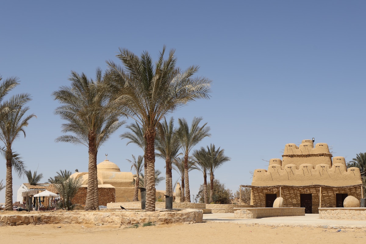 Mudbrick buildings and palm trees under a clear sky in Fayoum, Egypt