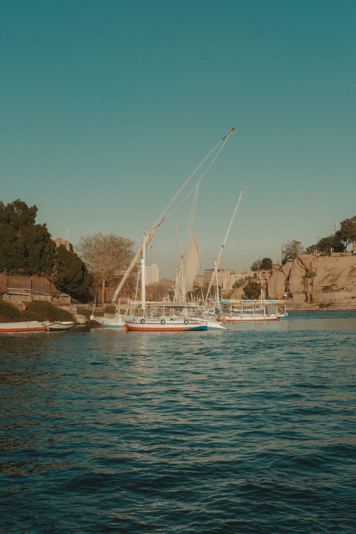 Traditional felucca sailboats moored on the Nile beside rocky banks and vegetation in Aswan, Egypt