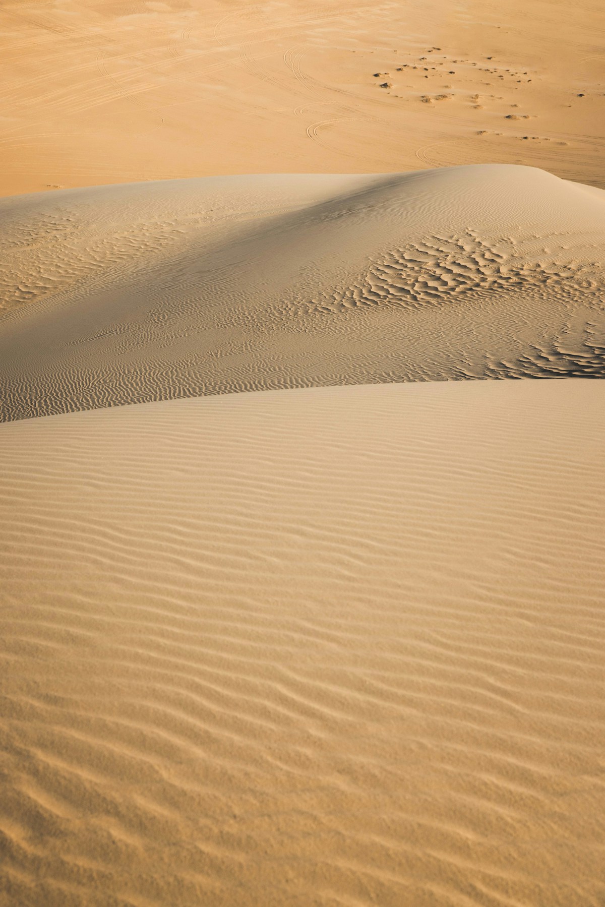 Sand dune patterns in the Egyptian Sahara desert near the Western Desert