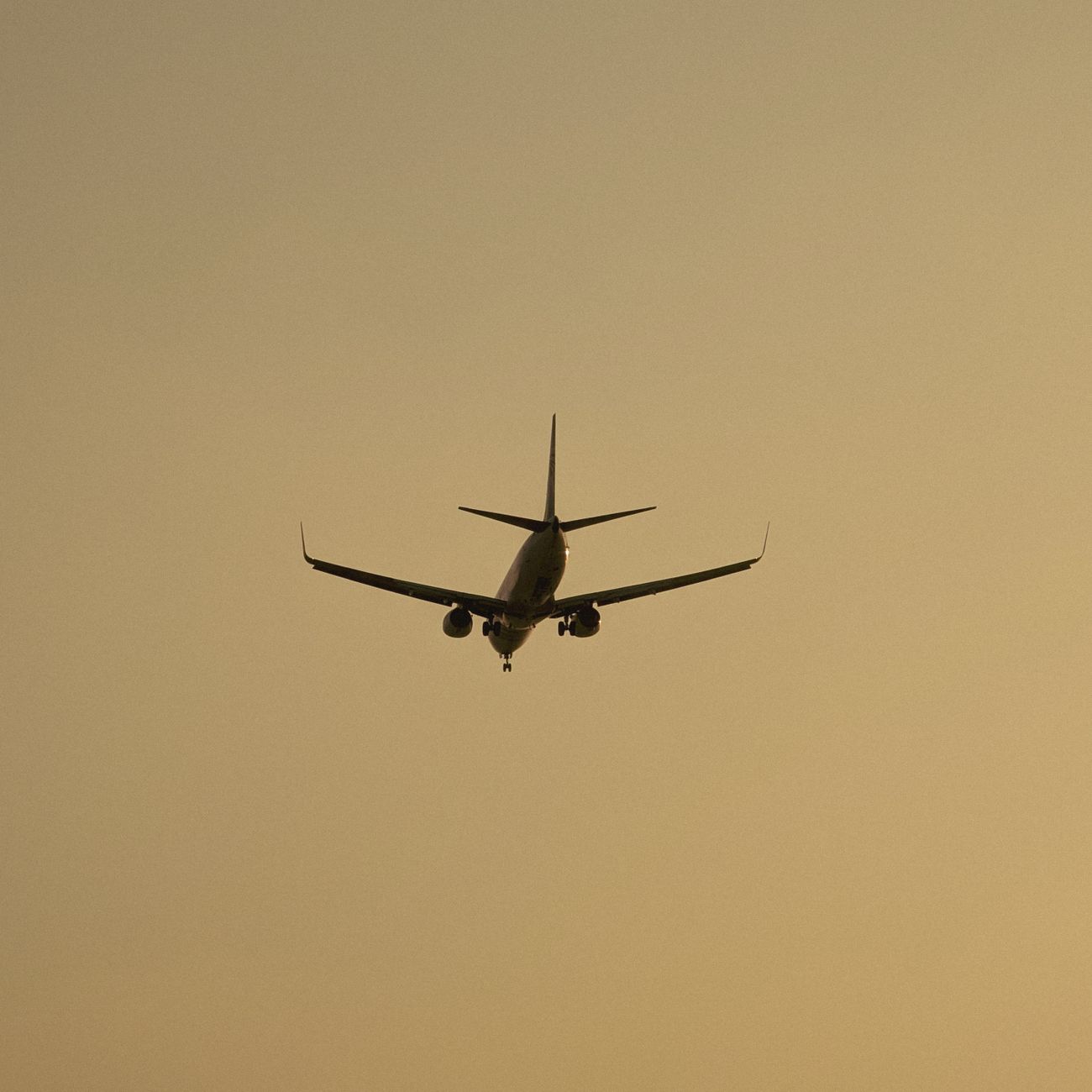 Commercial aircraft flying against a golden sunset sky over Cairo, Egypt