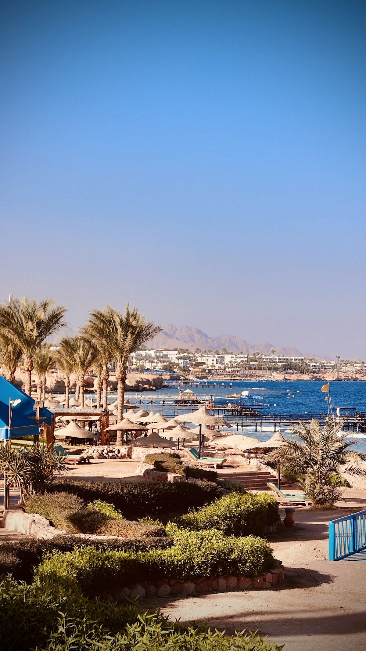 Sharm el-Sheikh beach resort with palm trees, sun umbrellas, and the Red Sea
