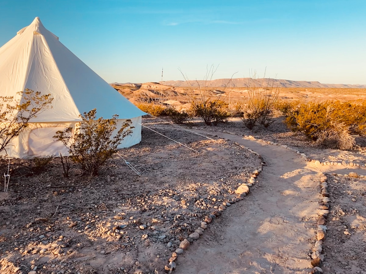 Kershef salt-clay lodge at the Siwa Oasis with palm trees and desert beyond